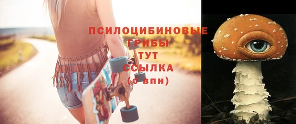 2c-b Покачи