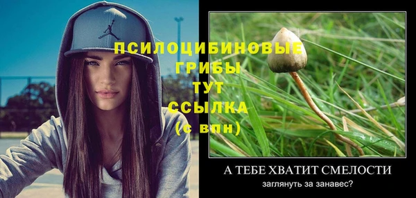 2c-b Покачи