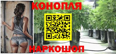 шишки Обнинск