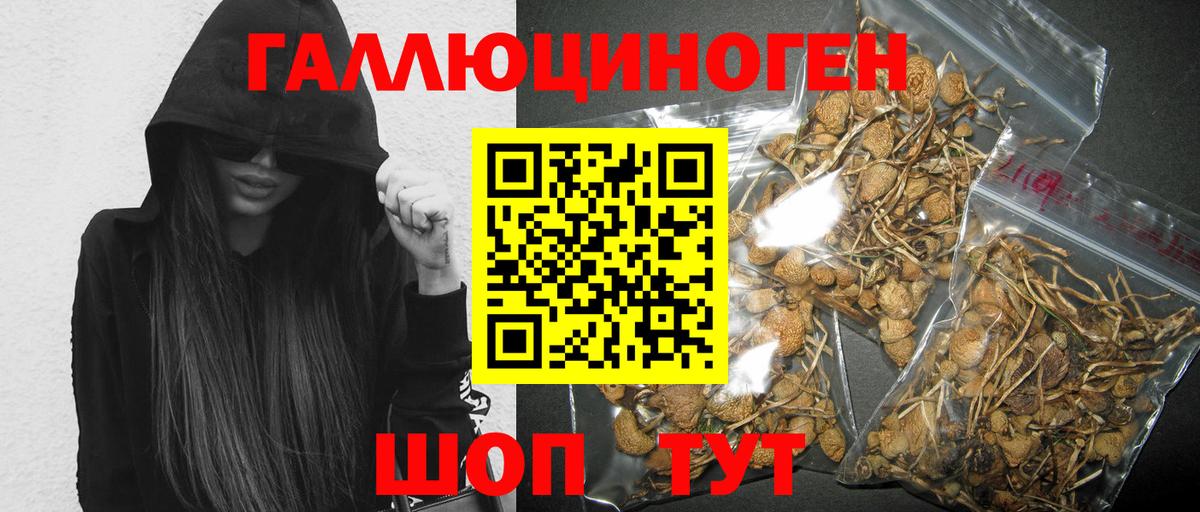 Сорочинск  Псилоцибиновые грибы Magic Shrooms  Вход с VPN 